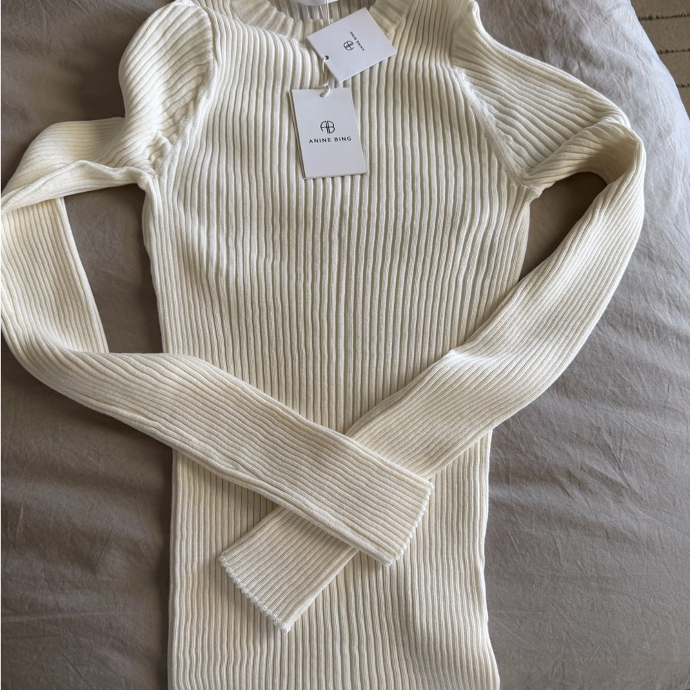 Anine Bing Cecilia Ribbed Crewneck Sweater